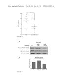 Analysis and Targeting of ROR2 in Cancer diagram and image