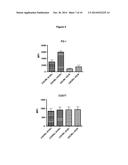 ANTI-CD277 ANTIBODIES AND USES THEREOF diagram and image