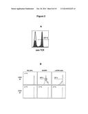 ANTI-CD277 ANTIBODIES AND USES THEREOF diagram and image