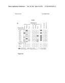 MALARIA VACCINE diagram and image