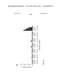 MALARIA VACCINE diagram and image