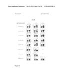 MALARIA VACCINE diagram and image