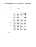 MALARIA VACCINE diagram and image