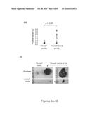 MIC-BINDING ANTIBODIES AND METHODS OF USE THEREOF diagram and image