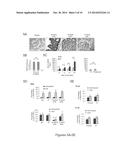 MIC-BINDING ANTIBODIES AND METHODS OF USE THEREOF diagram and image