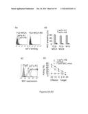 MIC-BINDING ANTIBODIES AND METHODS OF USE THEREOF diagram and image