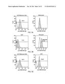 IGE ANTI-HMW-MAA Antibody diagram and image