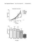 IGE ANTI-HMW-MAA Antibody diagram and image