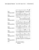 IGE ANTI-HMW-MAA Antibody diagram and image