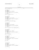 IGE ANTI-HMW-MAA Antibody diagram and image