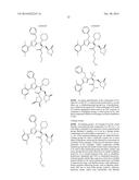 CELL PROLIFERATION INHIBITORS AND CONJUGATES THEREOF diagram and image