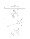 CELL PROLIFERATION INHIBITORS AND CONJUGATES THEREOF diagram and image