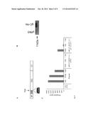 SECOND GENERATION VIRUS-LIKE PARTICLES (VLP) FROM EPSTEIN-BARR VIRUSES FOR     VACCINATION PURPOSES diagram and image