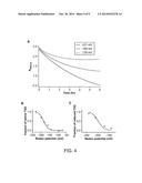 Modulation of Tissue Transglutaminase Activation in Disease diagram and image