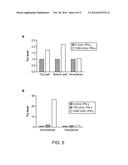 Modulation of Tissue Transglutaminase Activation in Disease diagram and image