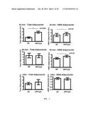 CYSTEAMINE AND/OR CYSTAMINE FOR TREATING ISCHEMIC INJURY diagram and image