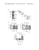 CYSTEAMINE AND/OR CYSTAMINE FOR TREATING ISCHEMIC INJURY diagram and image