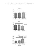 CYSTEAMINE AND/OR CYSTAMINE FOR TREATING ISCHEMIC INJURY diagram and image