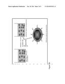 NOVEL HEMOSTATIC PATCH AND USES THEREOF diagram and image