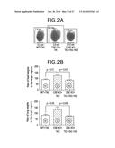 PREPARATION AND COMPOSITIONS OF HIGHLY BIOAVAILABLE ZEROVALENT SULFUR AND     USES THEREOF diagram and image