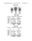 PREPARATION AND COMPOSITIONS OF HIGHLY BIOAVAILABLE ZEROVALENT SULFUR AND     USES THEREOF diagram and image