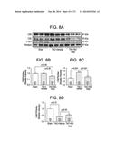 PREPARATION AND COMPOSITIONS OF HIGHLY BIOAVAILABLE ZEROVALENT SULFUR AND     USES THEREOF diagram and image