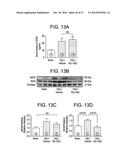 PREPARATION AND COMPOSITIONS OF HIGHLY BIOAVAILABLE ZEROVALENT SULFUR AND     USES THEREOF diagram and image