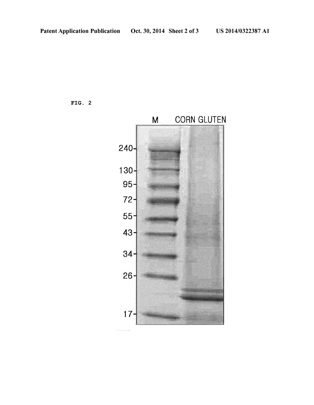 PREPARATION METHOD FOR FERMENTED CORN GLUTEN - diagram, schematic, and image 03