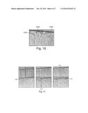 Device and Method for Monitoring a Property of a Coating of a Solid Dosage     Form During a Coating Process Forming the Coating of the Solid Dosage     Form diagram and image