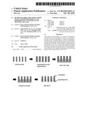 METHOD OF FABRICATING SURFACE BODY HAVING SUPERHYDROPHOBICITY AND     HYDROPHILICITY AND APPARATUS OF PREPARING THE SAME diagram and image