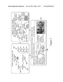 FUNCTIONAL RECOVERY OF HUMAN LUNGS FOR TRANSPLANTATION diagram and image