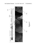 FUNCTIONAL RECOVERY OF HUMAN LUNGS FOR TRANSPLANTATION diagram and image