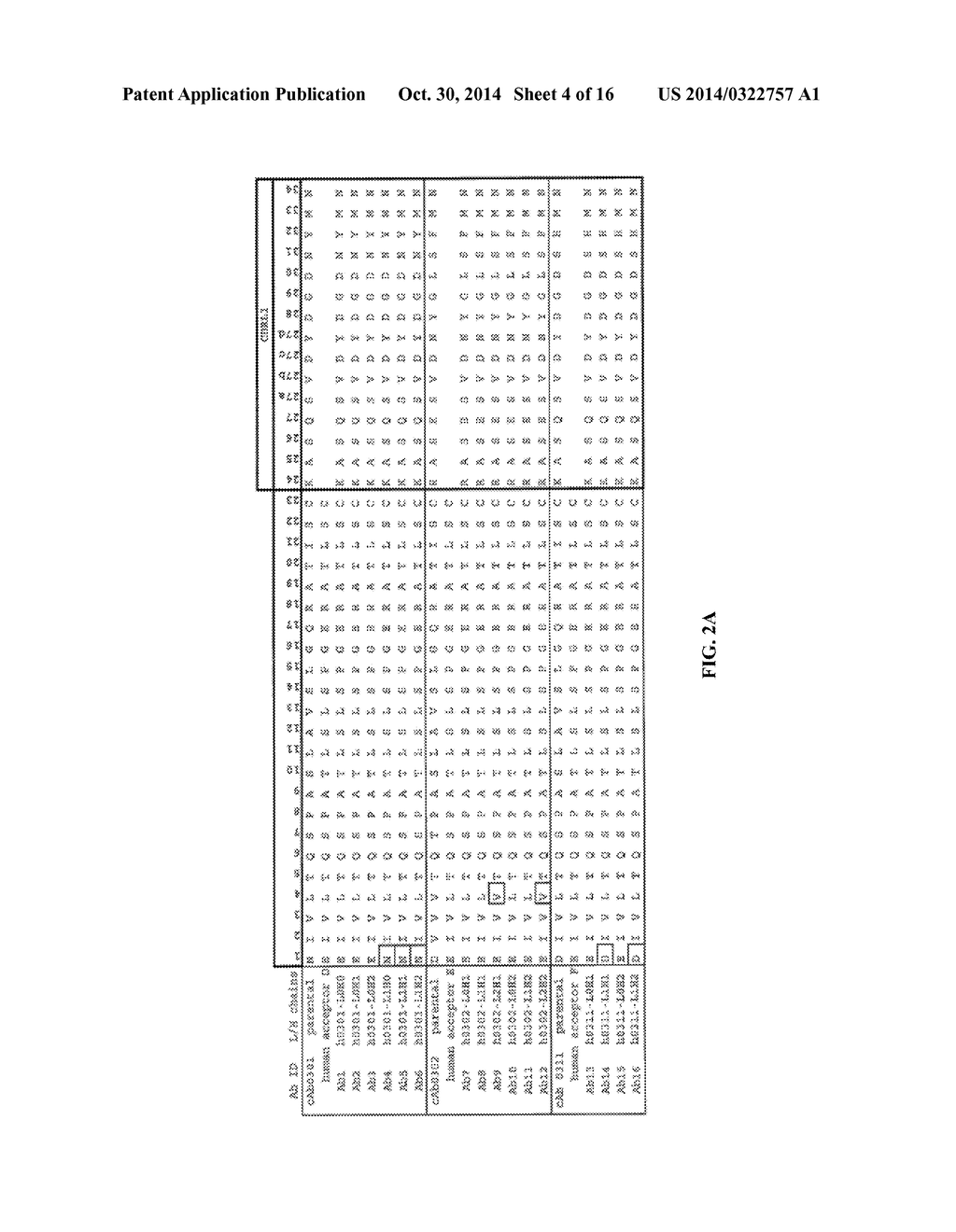 ANTIBODIES THAT BIND COLONY STIMULATING FACTOR 1 RECEPTOR (CSF1R) - diagram, schematic, and image 05