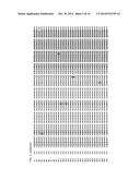 PHI29 DNA POLYMERASE MUTANTS HAVING INCREASED THERMOSTABILITY AND     PROCESSIVITY diagram and image