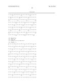 PHI29 DNA POLYMERASE MUTANTS HAVING INCREASED THERMOSTABILITY AND     PROCESSIVITY diagram and image