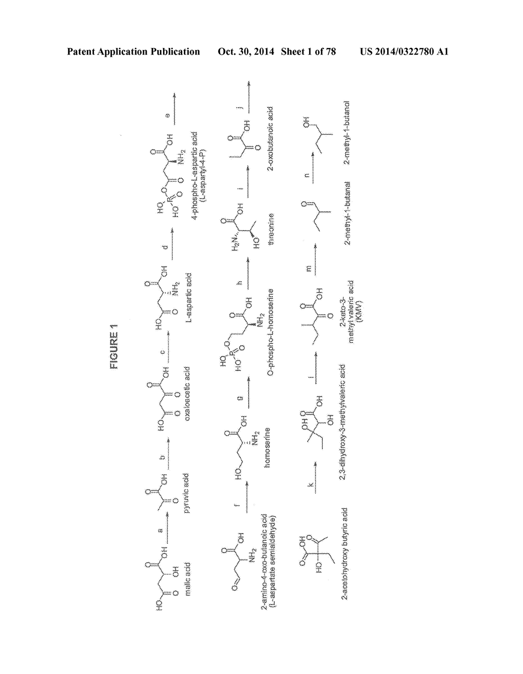 Methylbutanol as an Advanced Biofuel - diagram, schematic, and image 02