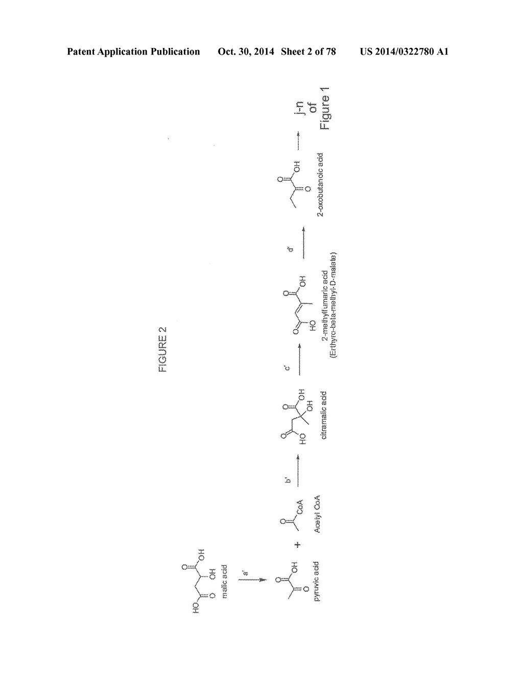 Methylbutanol as an Advanced Biofuel - diagram, schematic, and image 03