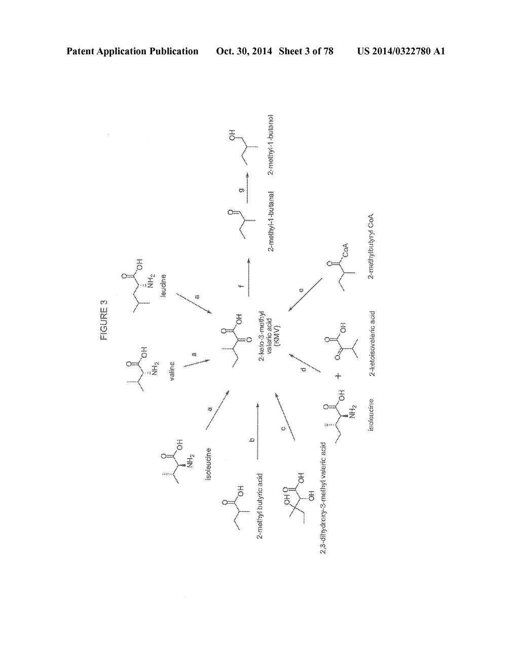 Methylbutanol as an Advanced Biofuel - diagram, schematic, and image 04