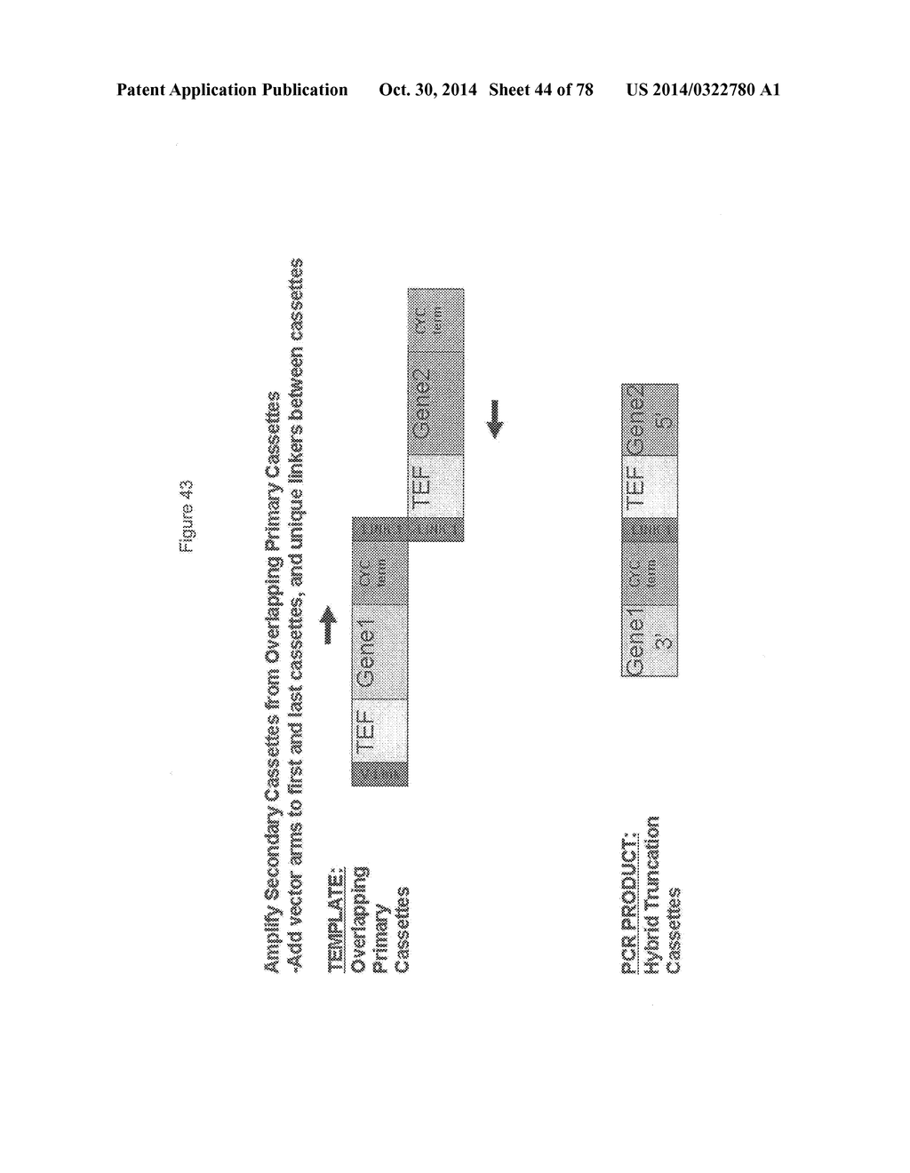 Methylbutanol as an Advanced Biofuel - diagram, schematic, and image 45