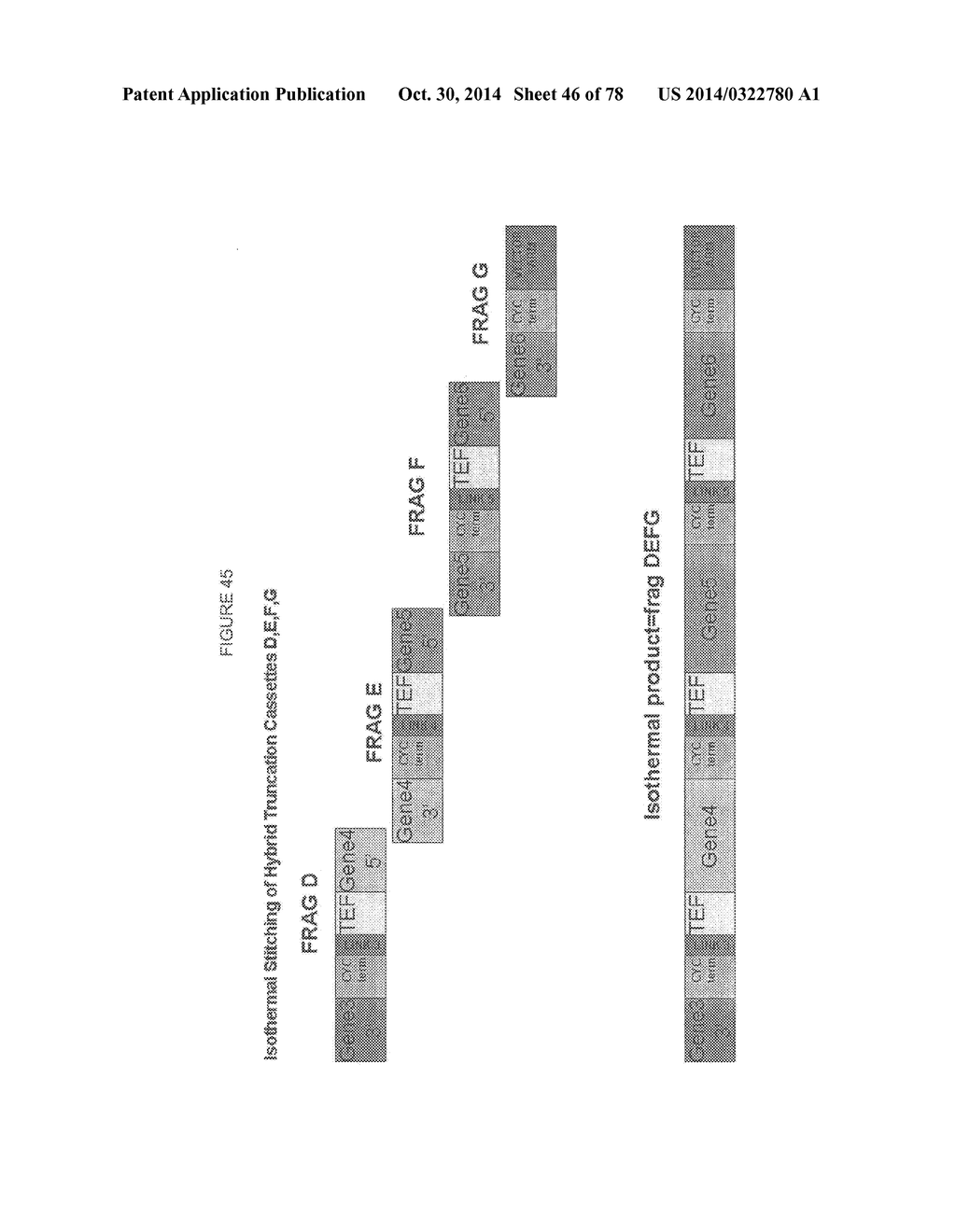 Methylbutanol as an Advanced Biofuel - diagram, schematic, and image 47