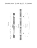 Methylbutanol as an Advanced Biofuel diagram and image