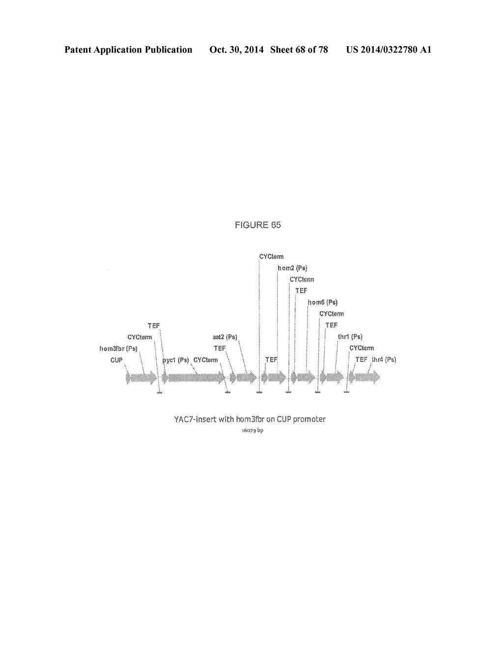 Methylbutanol as an Advanced Biofuel - diagram, schematic, and image 69