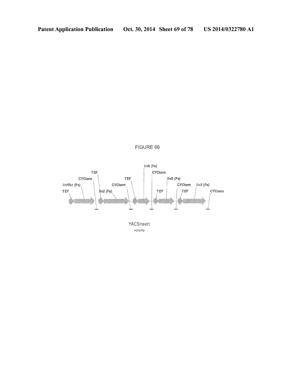 Methylbutanol as an Advanced Biofuel - diagram, schematic, and image 70