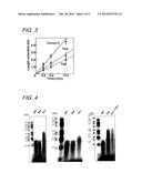 NOVEL DNA POLYMERASES diagram and image