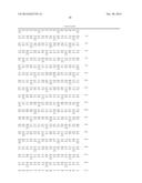 NOVEL DNA POLYMERASES diagram and image