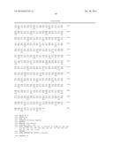 NOVEL DNA POLYMERASES diagram and image