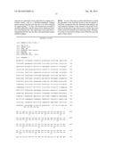 Use of a Rock Inhibitor to Sustain Primary Human Keratinocytes in a     Proliferative State diagram and image