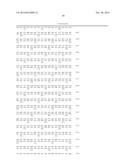 Use of a Rock Inhibitor to Sustain Primary Human Keratinocytes in a     Proliferative State diagram and image