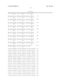 Use of a Rock Inhibitor to Sustain Primary Human Keratinocytes in a     Proliferative State diagram and image