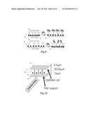 METHOD AND APPARATUS FOR CHEMICAL SENSING USING 2D PHOTONIC CRYSTAL ARRAYS diagram and image